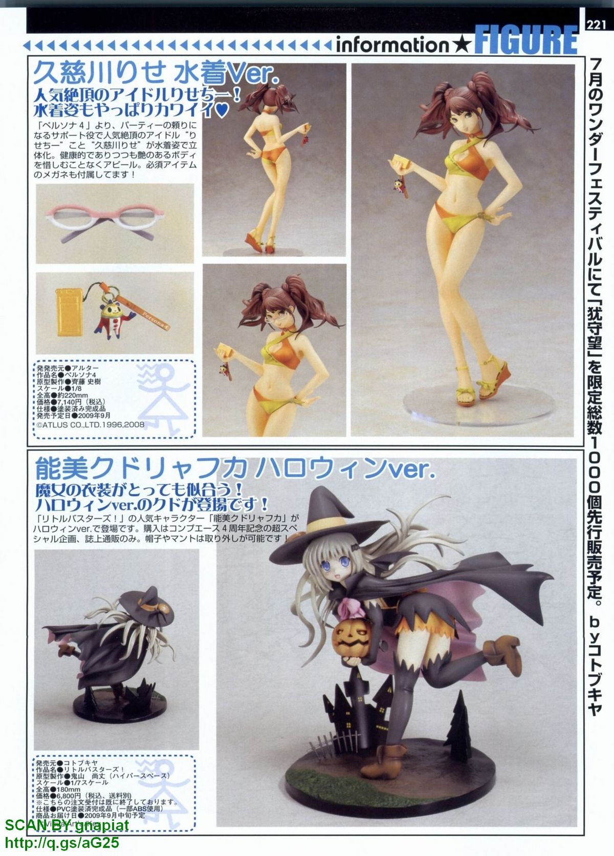 パソコンパラダイス 2009年8月号 Vol.207