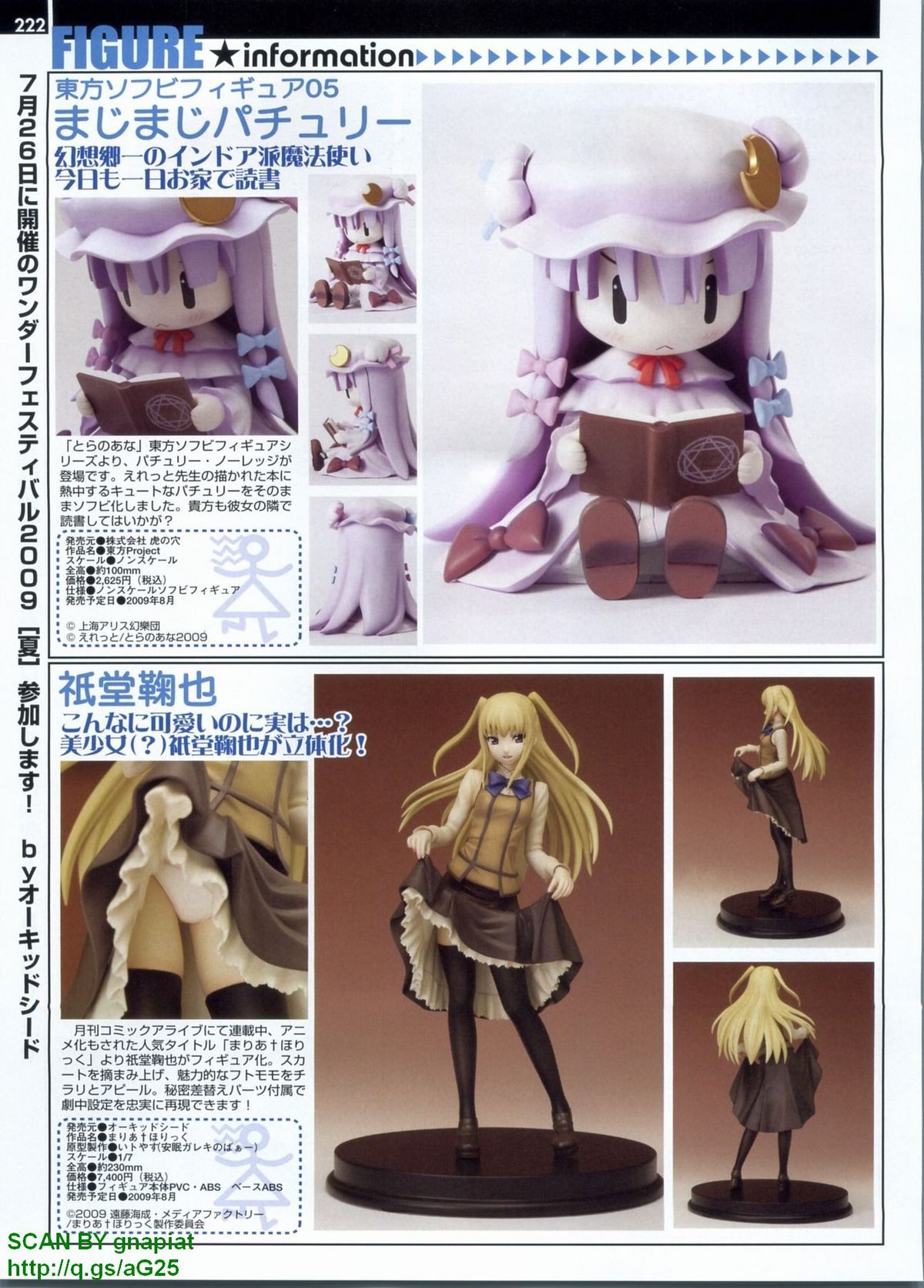 パソコンパラダイス 2009年8月号 Vol.207