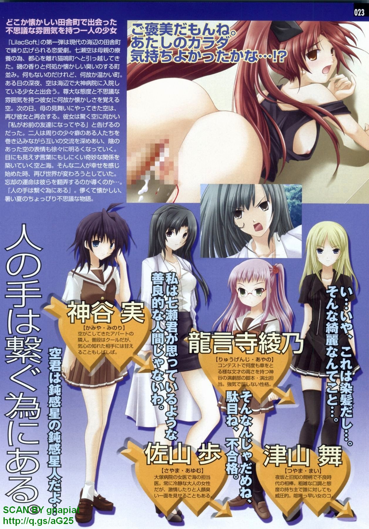 パソコンパラダイス 2009年8月号 Vol.207