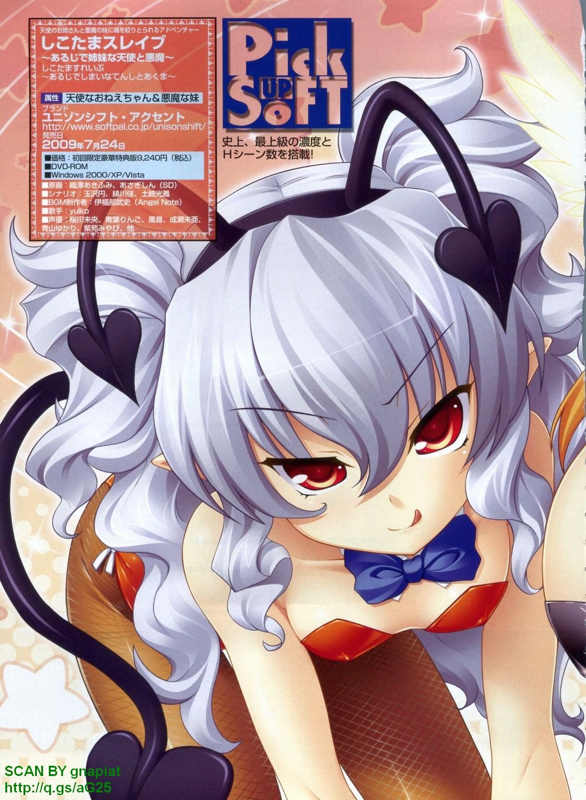 パソコンパラダイス 2009年8月号 Vol.207