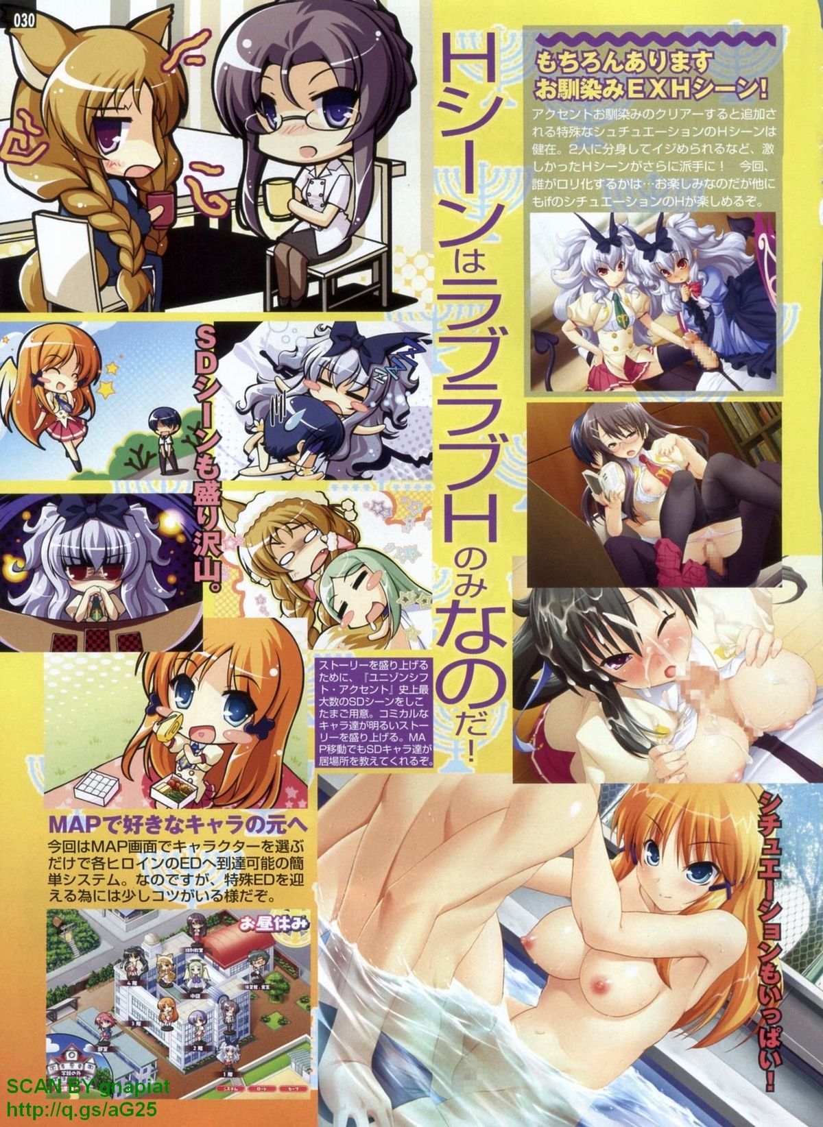 パソコンパラダイス 2009年8月号 Vol.207