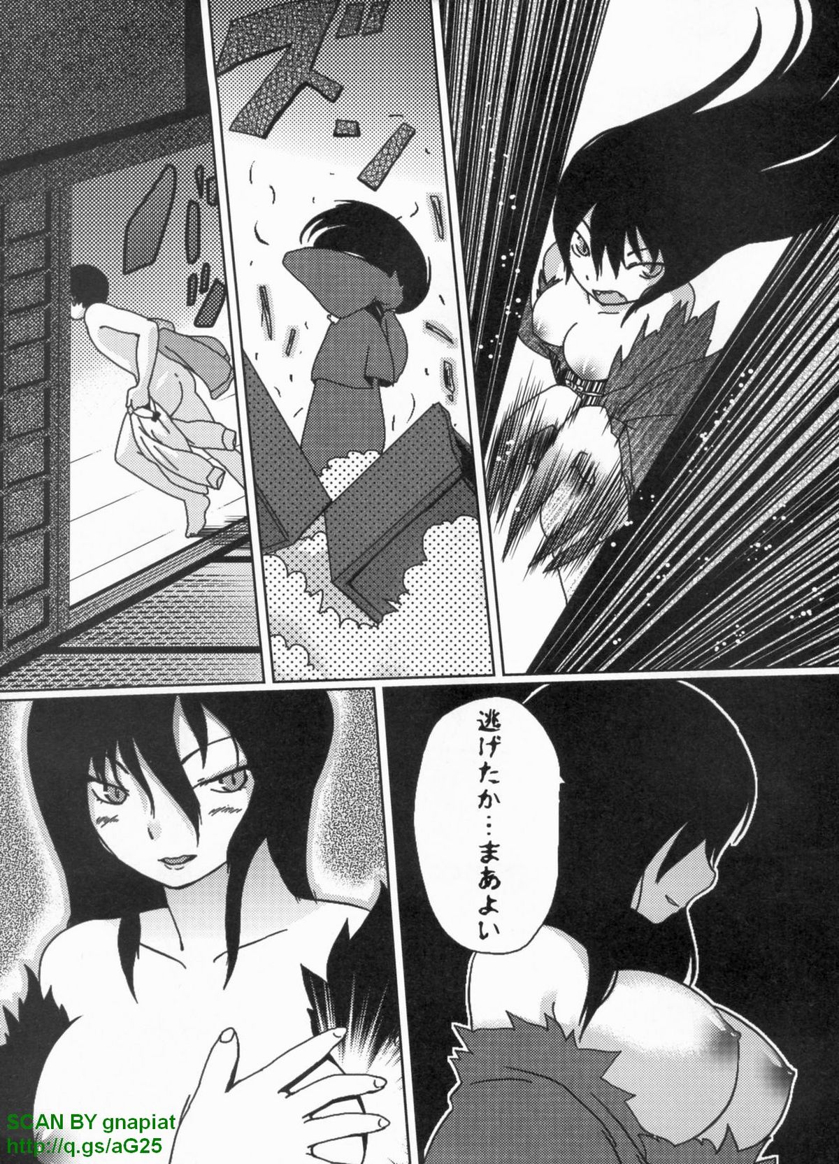 パソコンパラダイス 2009年8月号 Vol.207