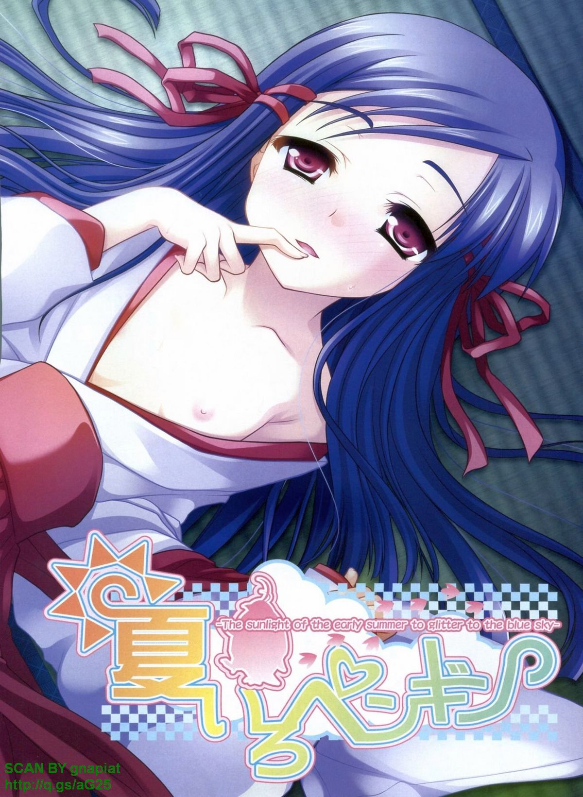 パソコンパラダイス 2009年8月号 Vol.207