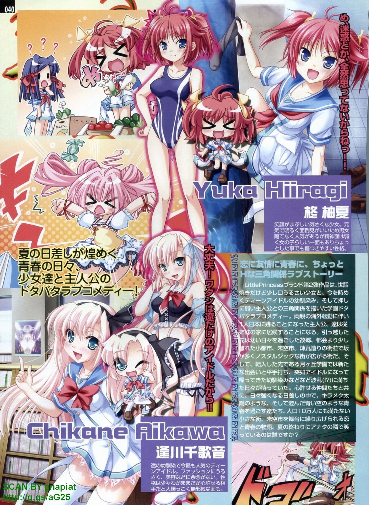 パソコンパラダイス 2009年8月号 Vol.207