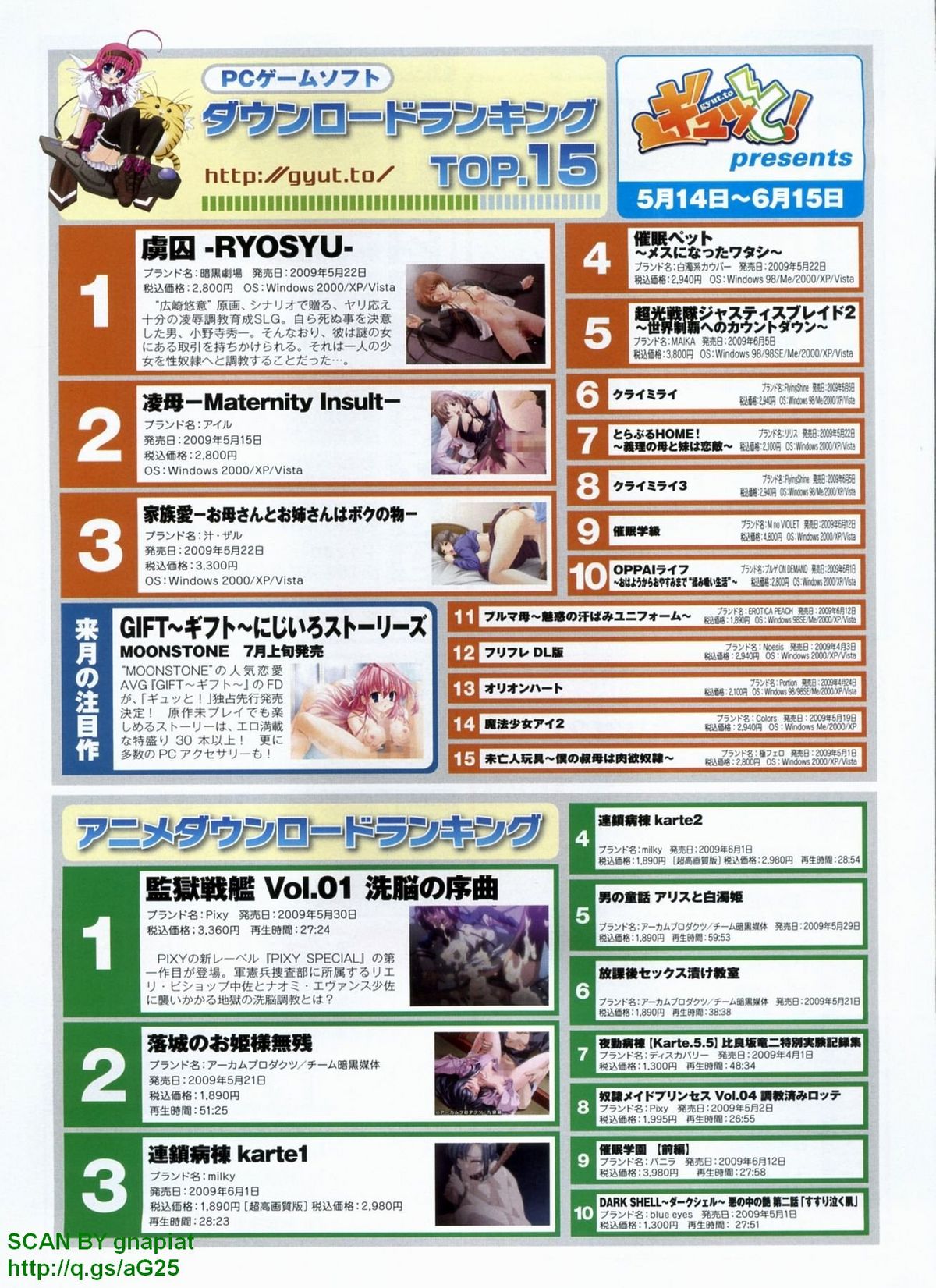 パソコンパラダイス 2009年8月号 Vol.207