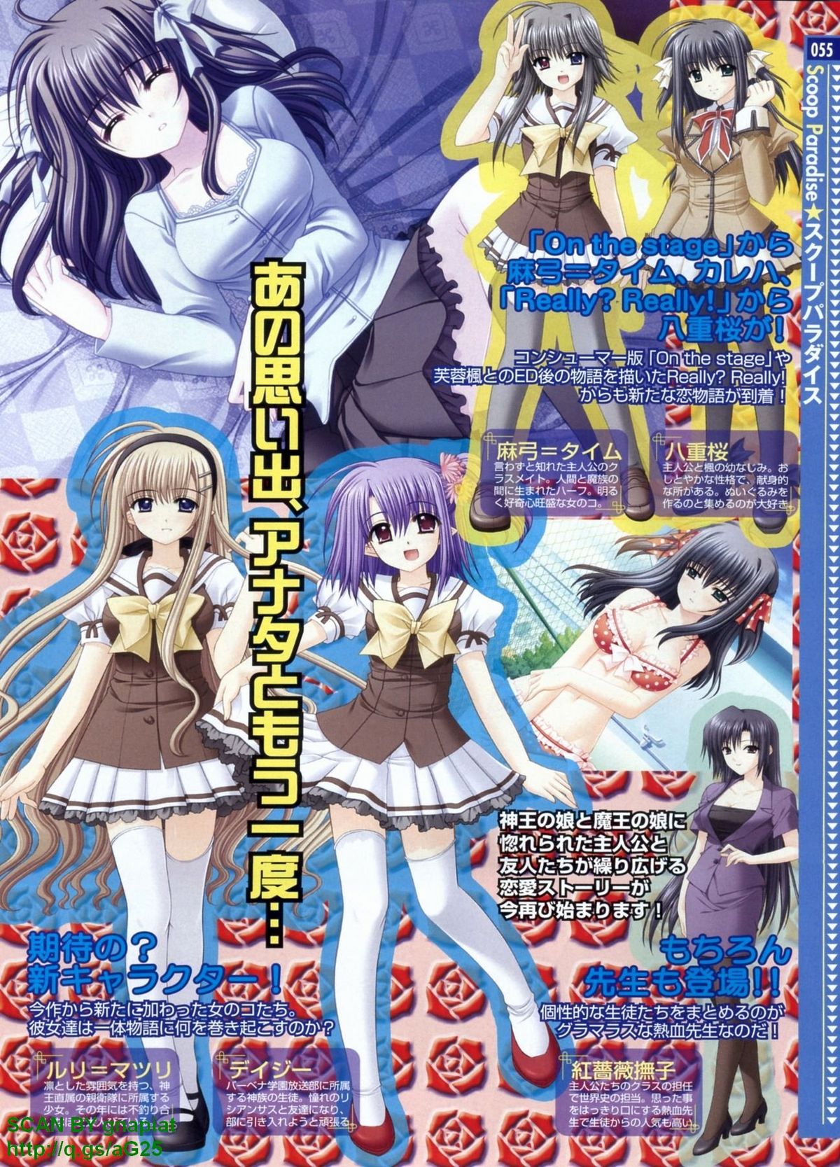 パソコンパラダイス 2009年8月号 Vol.207