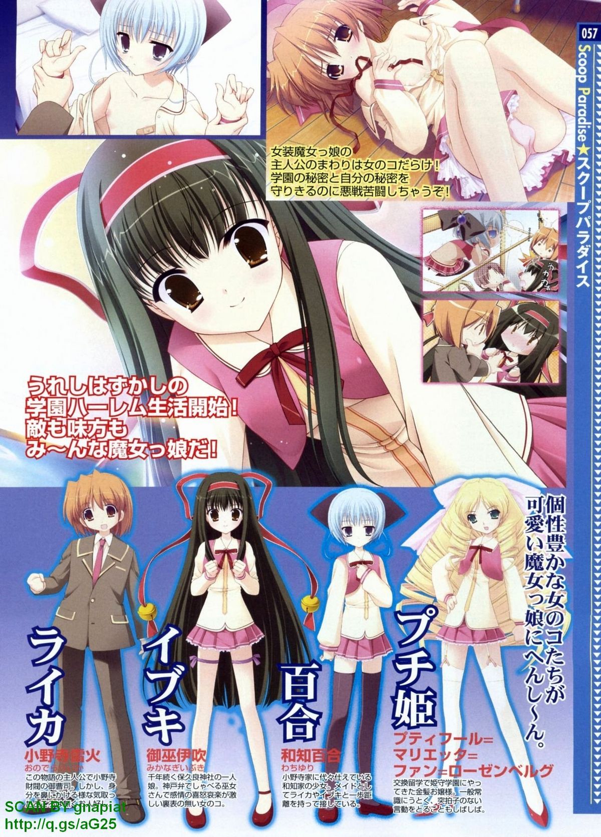 パソコンパラダイス 2009年8月号 Vol.207