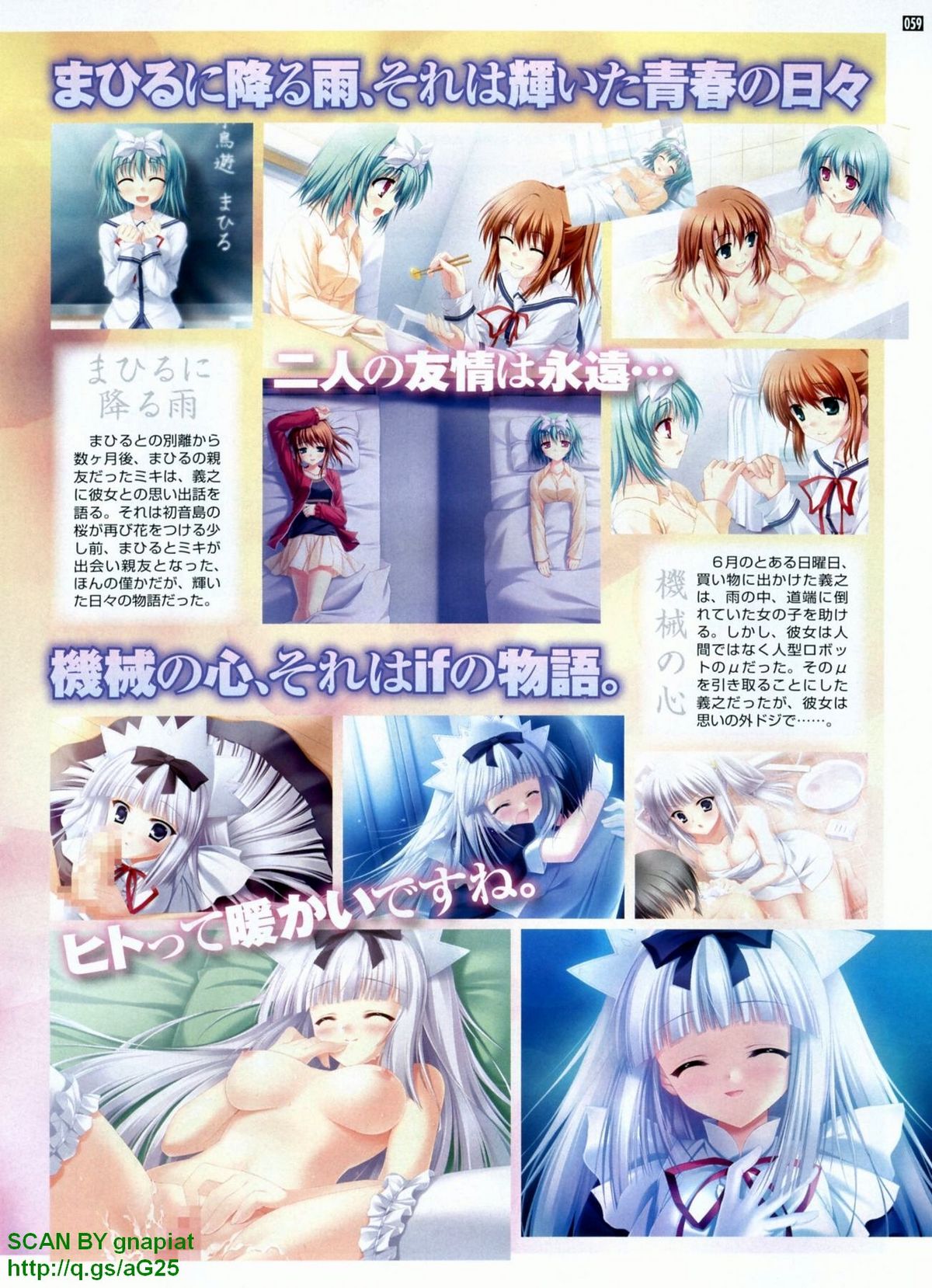 パソコンパラダイス 2009年8月号 Vol.207