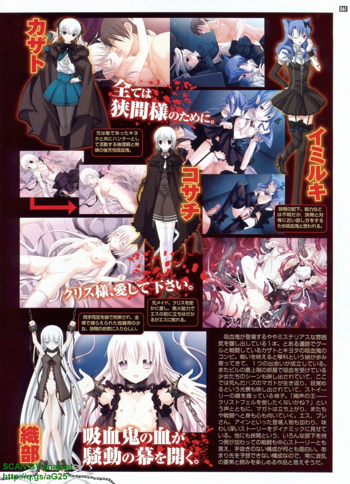 パソコンパラダイス 2009年8月号 Vol.207