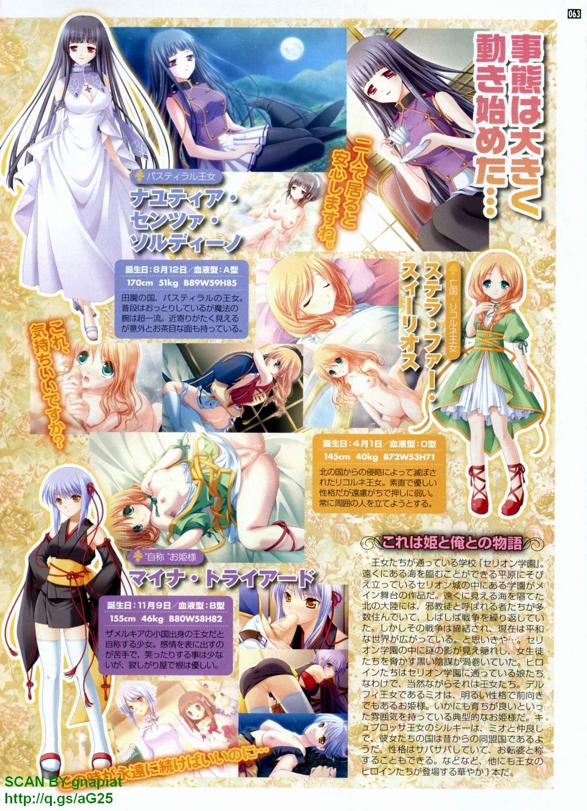 パソコンパラダイス 2009年8月号 Vol.207