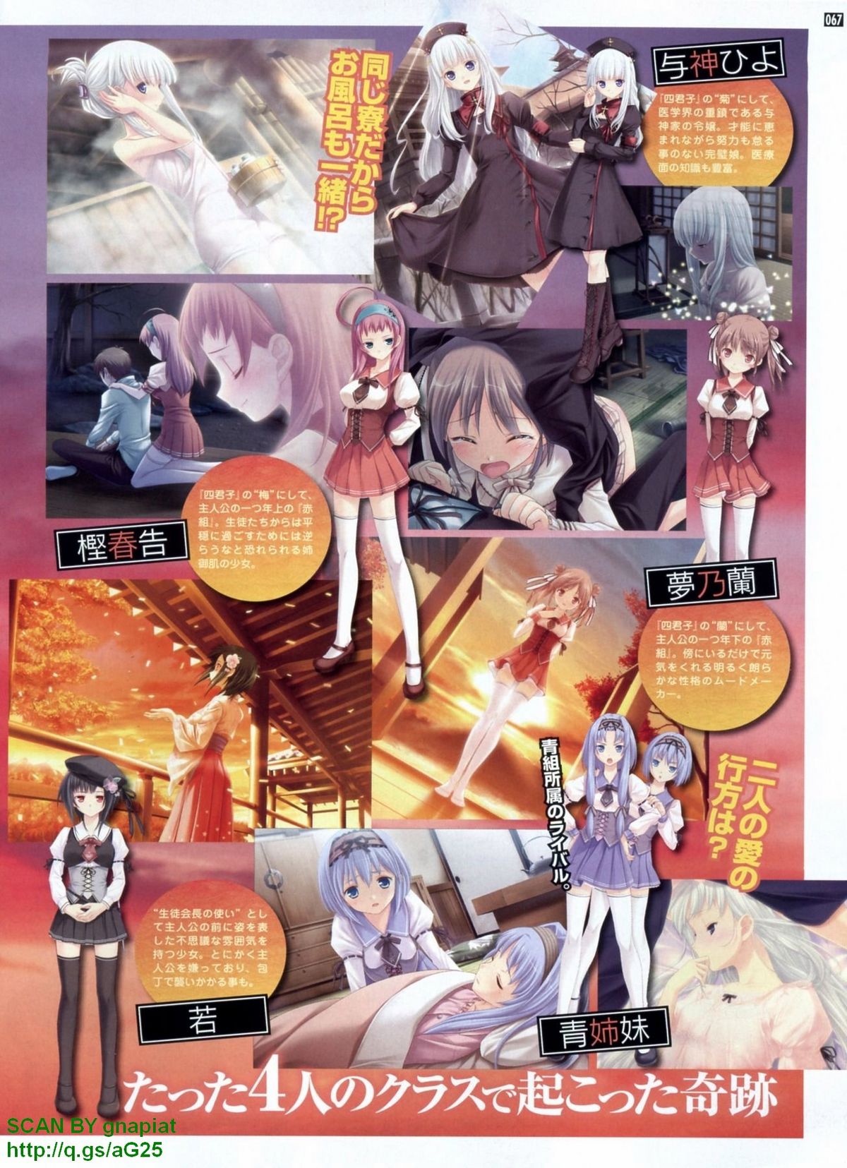 パソコンパラダイス 2009年8月号 Vol.207