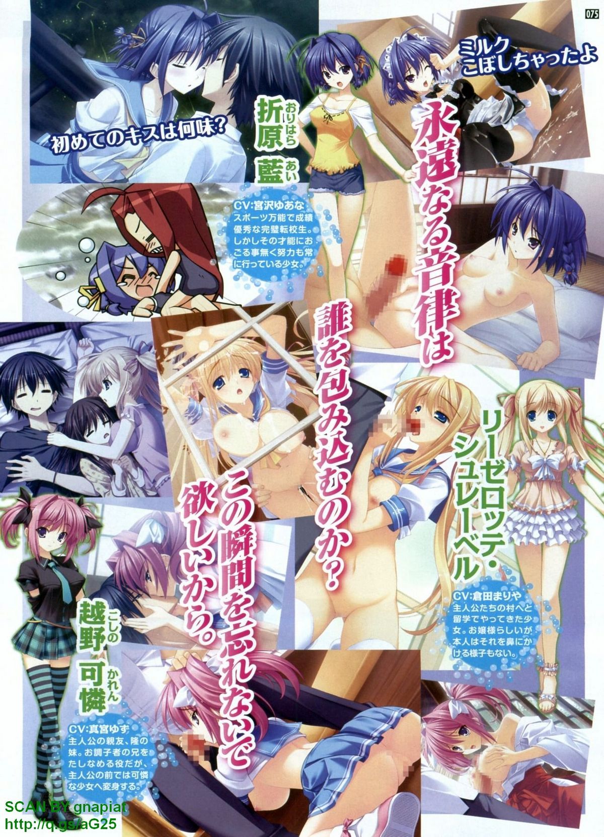 パソコンパラダイス 2009年8月号 Vol.207