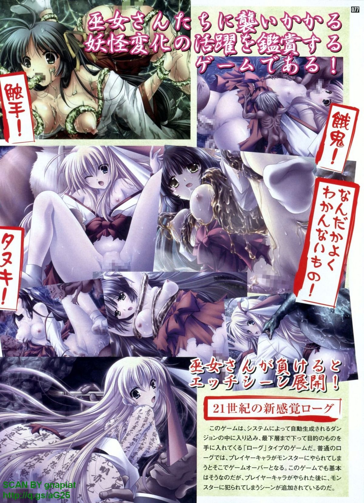 パソコンパラダイス 2009年8月号 Vol.207