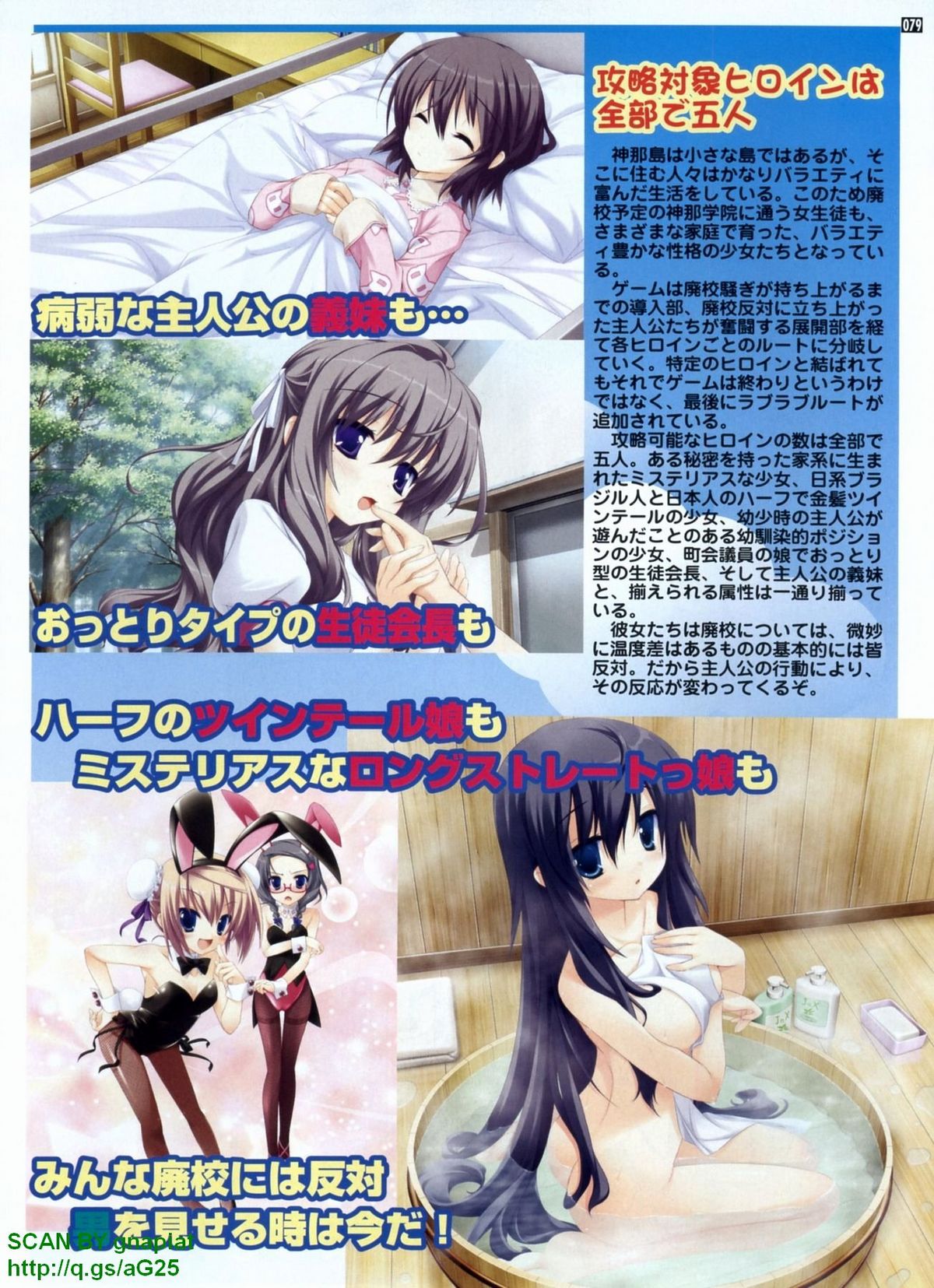 パソコンパラダイス 2009年8月号 Vol.207