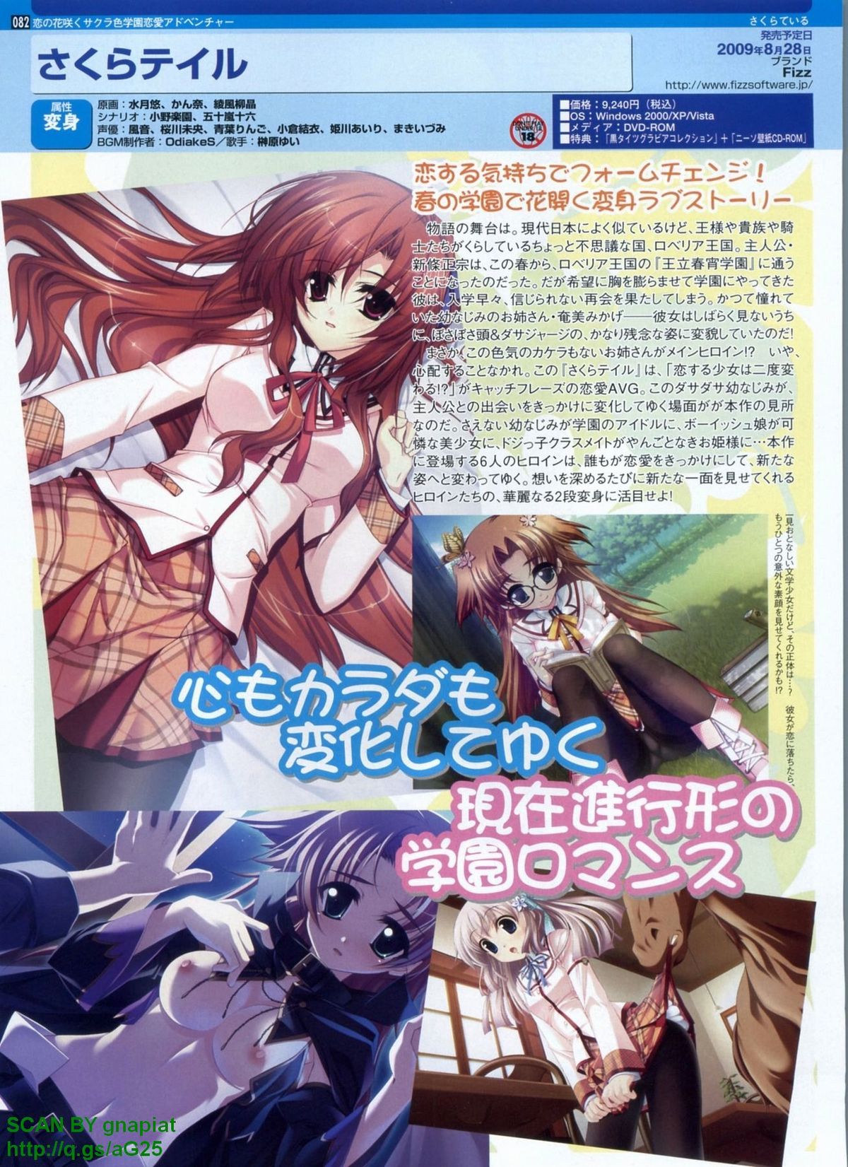 パソコンパラダイス 2009年8月号 Vol.207