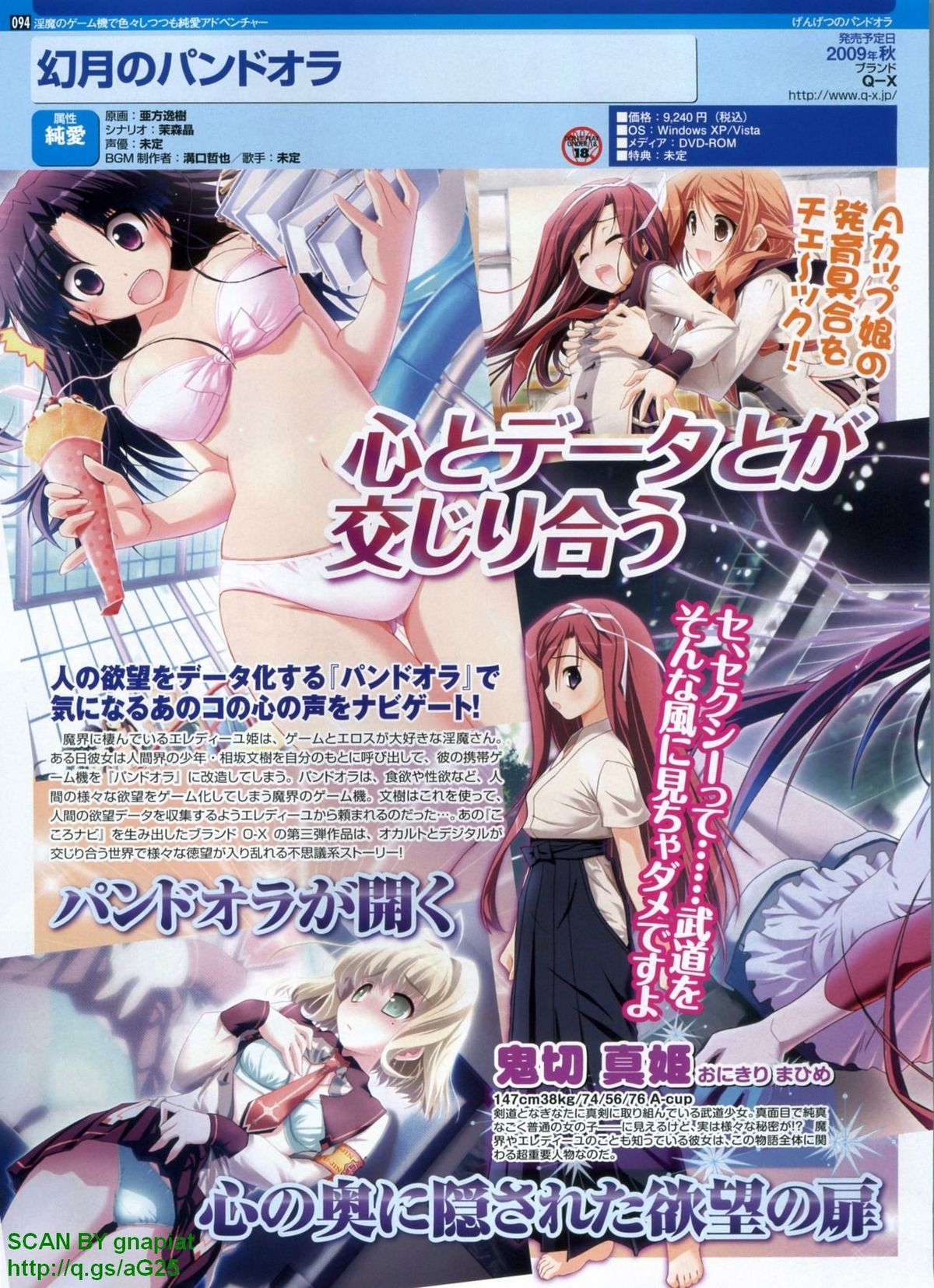 パソコンパラダイス 2009年8月号 Vol.207