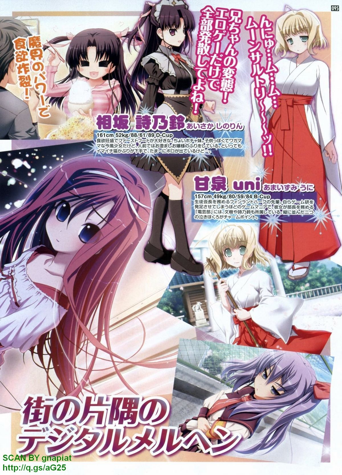 パソコンパラダイス 2009年8月号 Vol.207