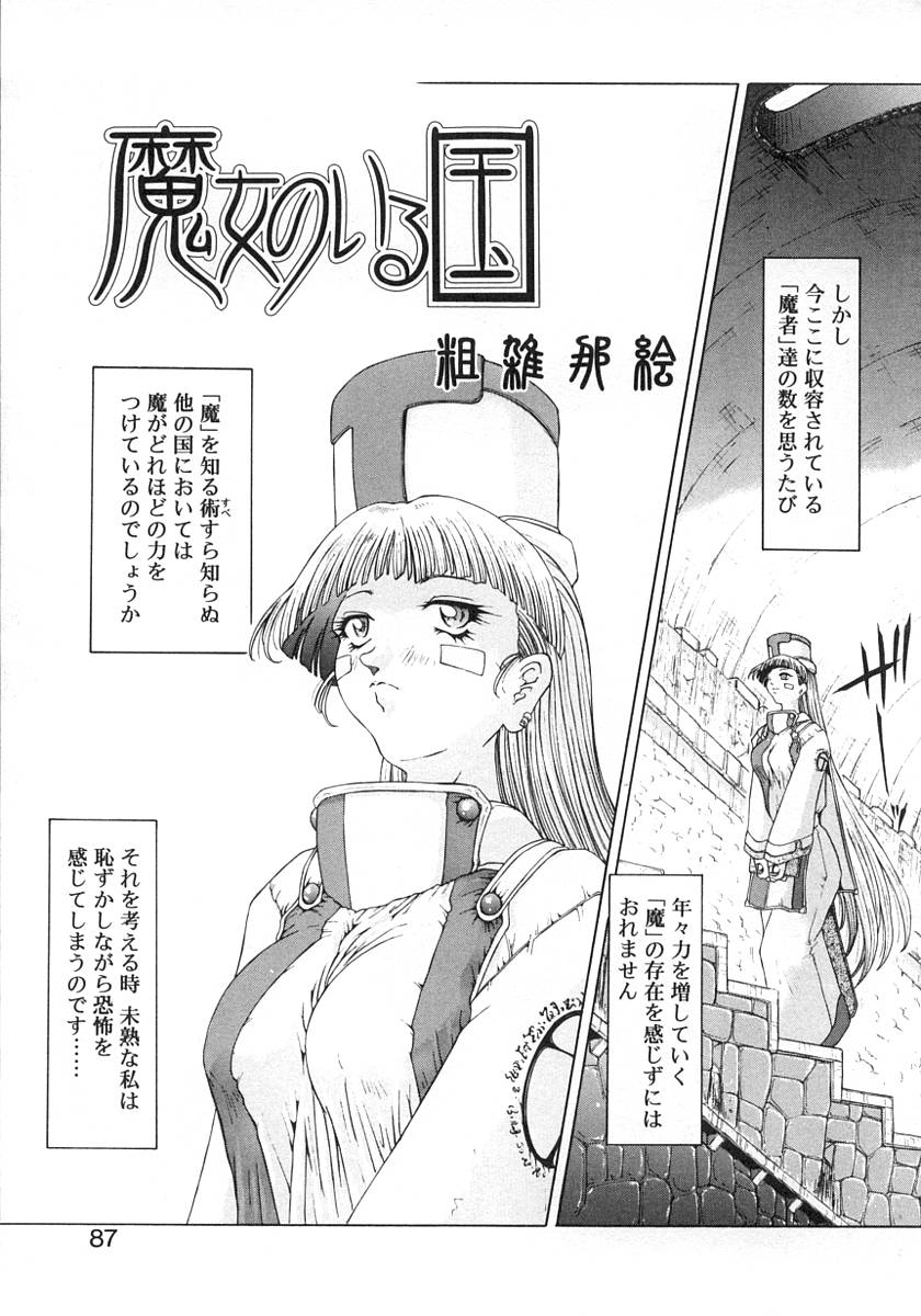 [粗雑那絵] 魔女のいる国 1-2