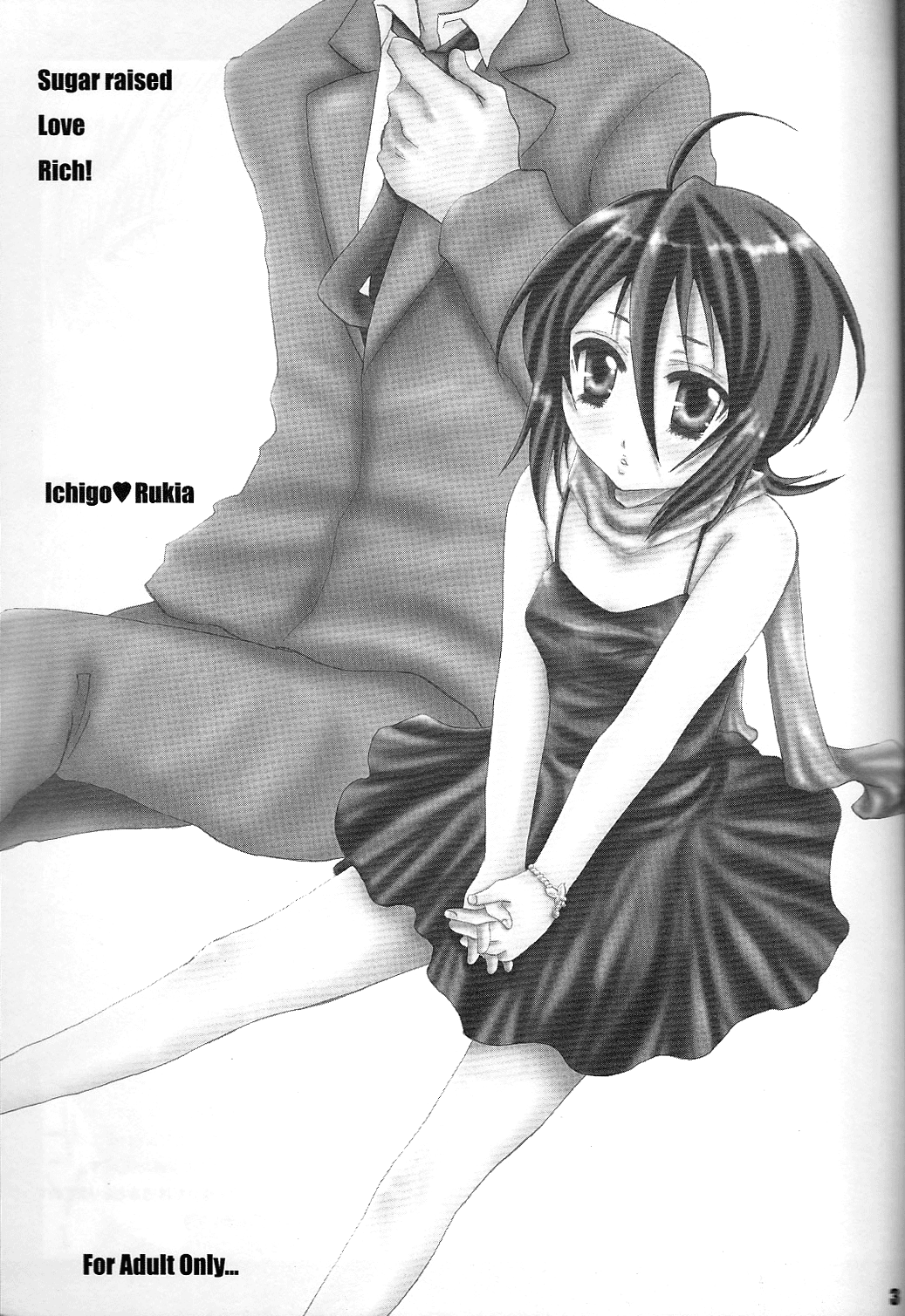 (C74) [ぽんちーず(仮) (彩羽スイ、蜜蜂)] SLR (ブリーチ) [英訳] [ページ欠落]