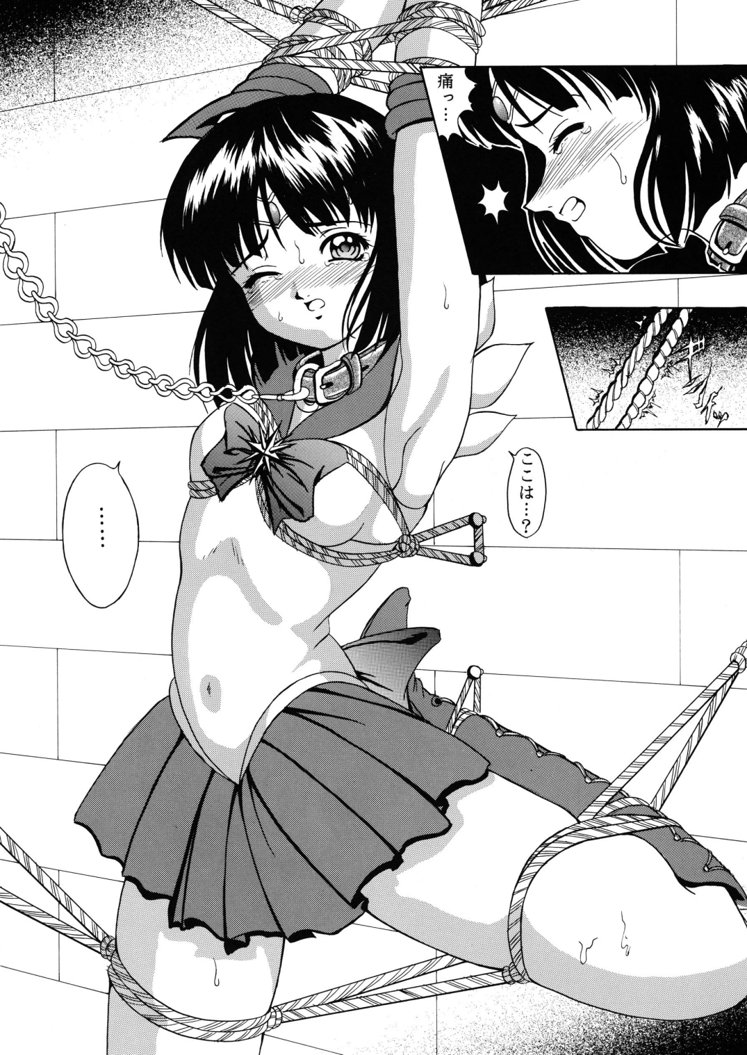 [菊花酒楼 (菊水)] Saturnalia (美少女戦士セーラームーン) [DL版]