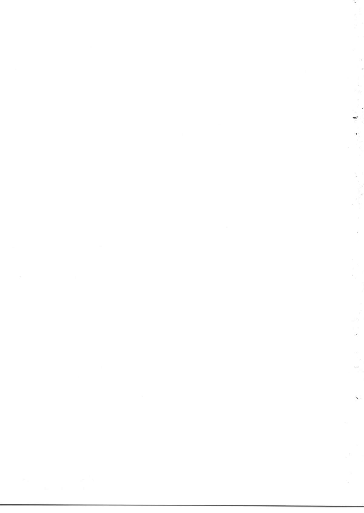 (C80) [きのこのみ (kino)] 俺の病的な妹 (東方Project)