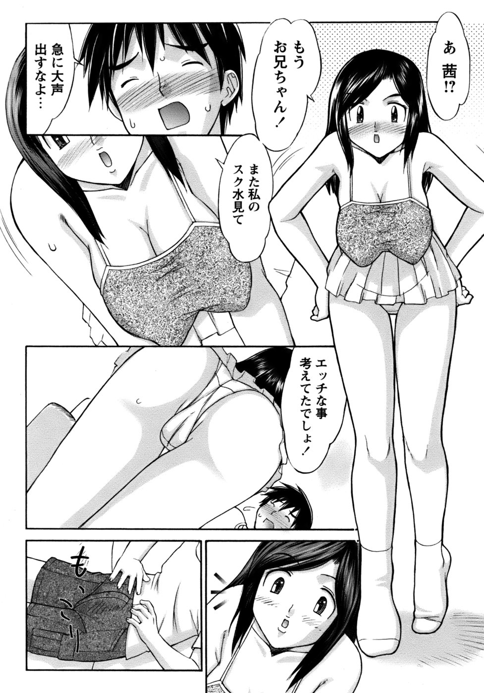 [水ようかん] くのいち椿・珍法帖プラス