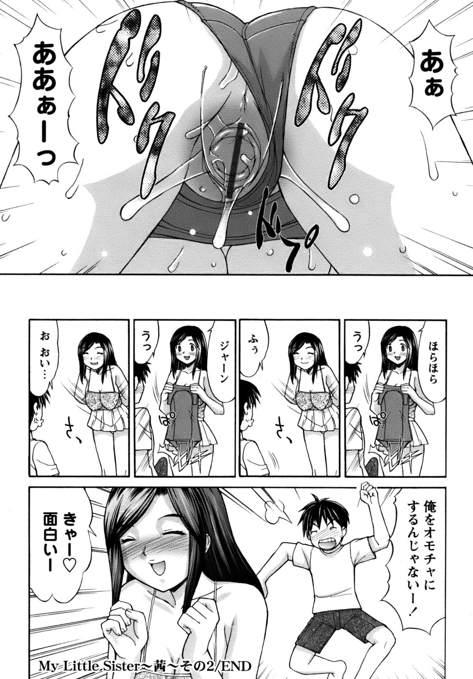 [水ようかん] くのいち椿・珍法帖プラス