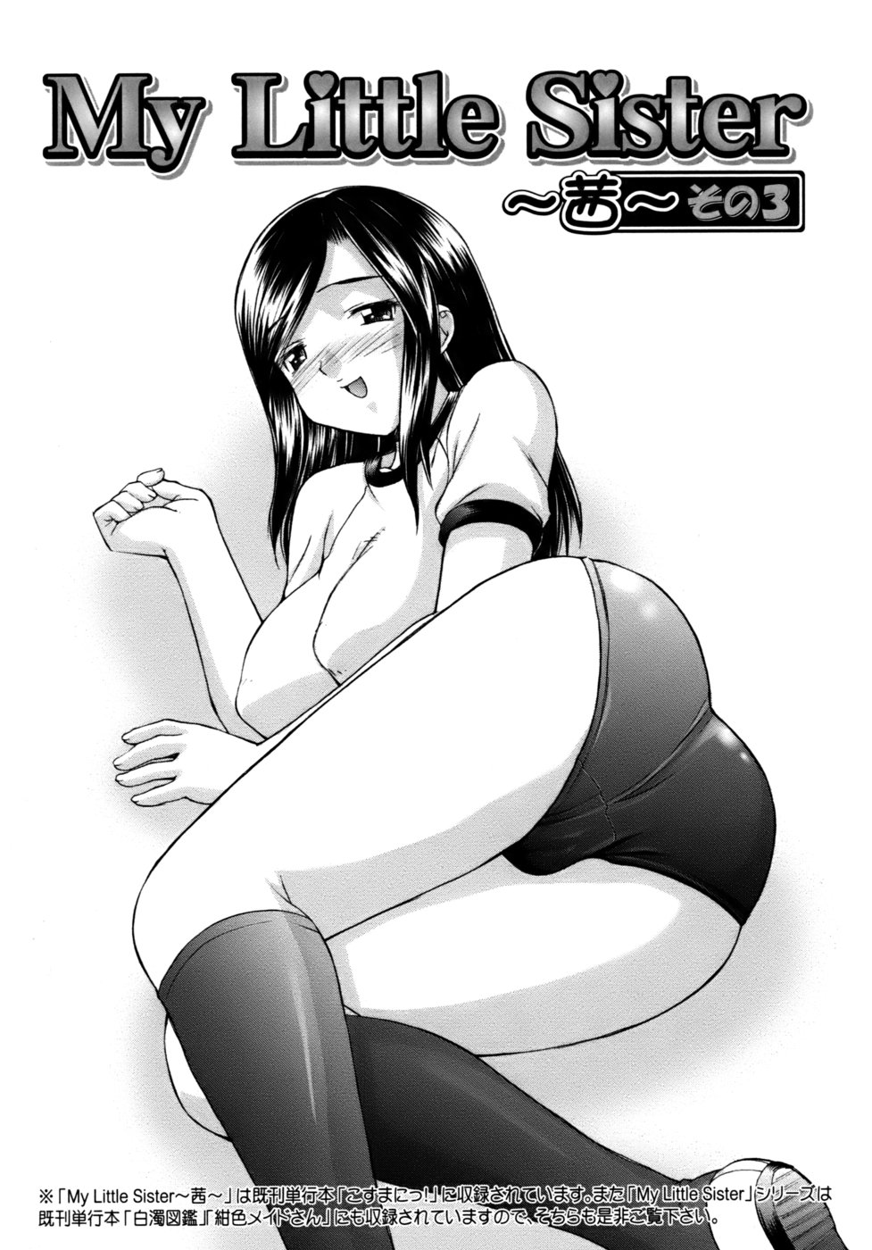 [水ようかん] くのいち椿・珍法帖プラス