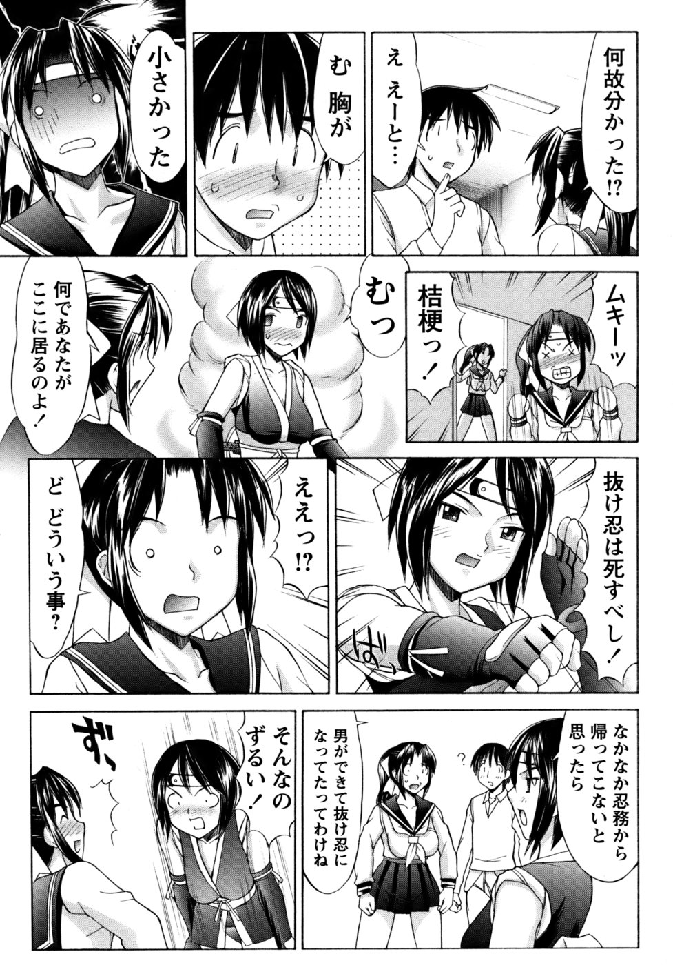 [水ようかん] くのいち椿・珍法帖プラス