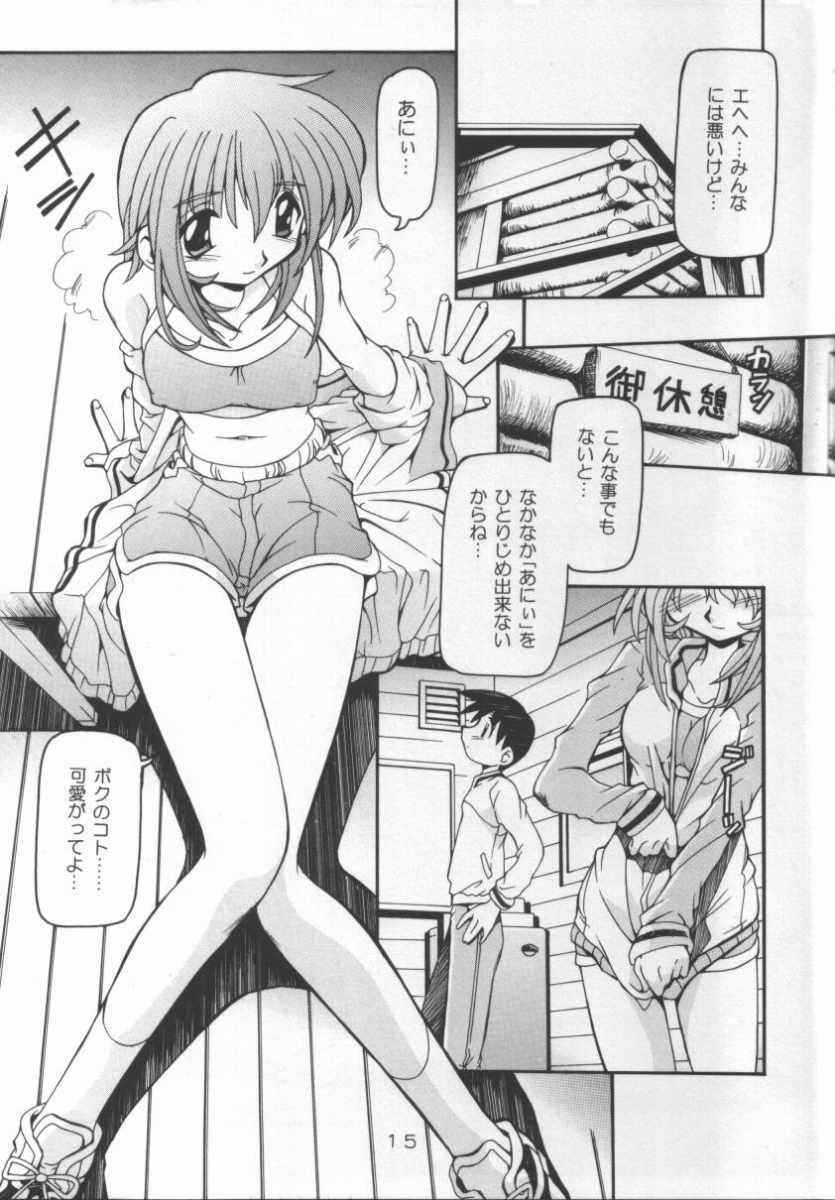 [猫乱舞 (みなこなみ)] 猫姫2 (シスター・プリンセス)