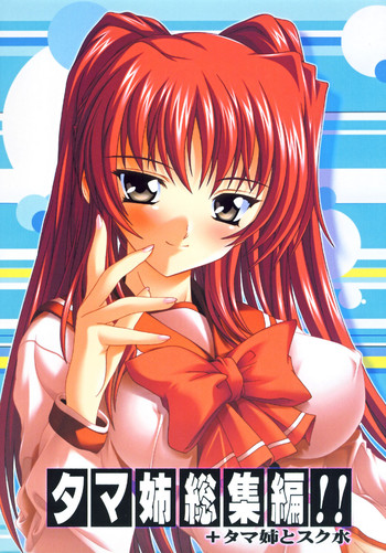 (C72) [すたぢおQ (奈塚Q弥)] タマ姉総集編!! (トゥハート2) [DL版]