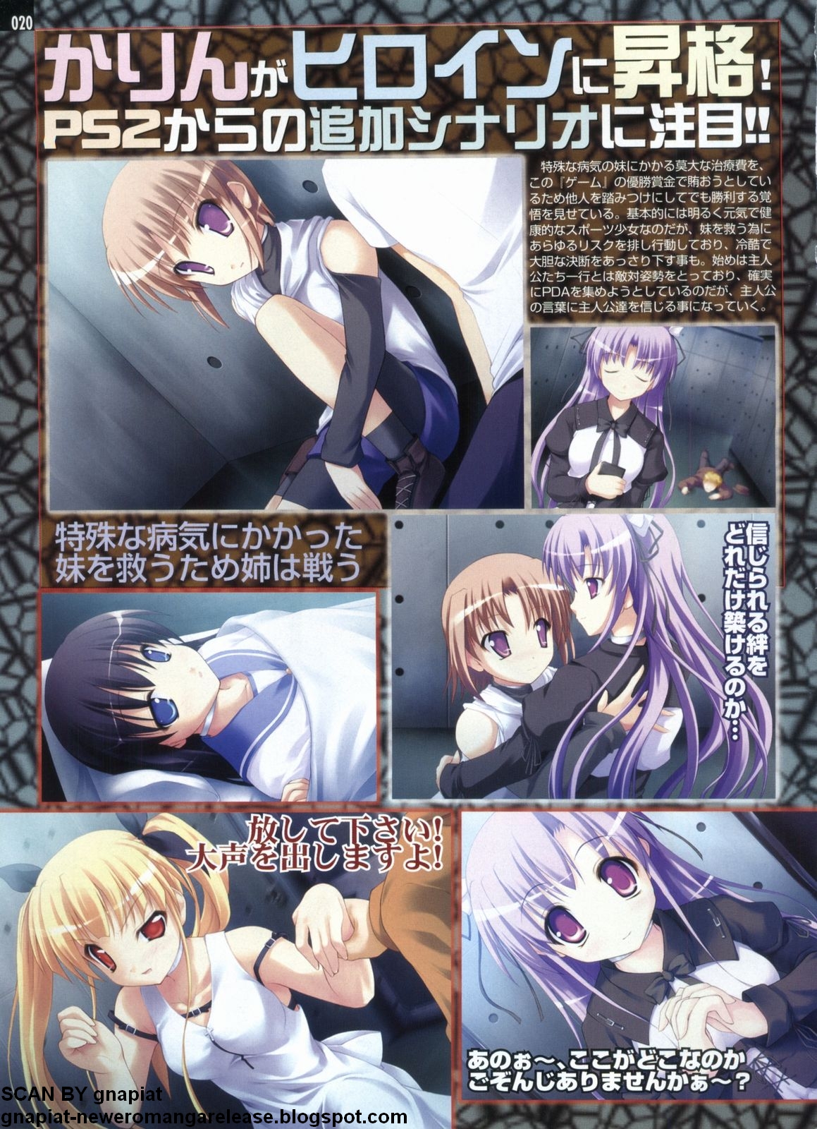 パソコンパラダイス 2009年5月号 Vol.204