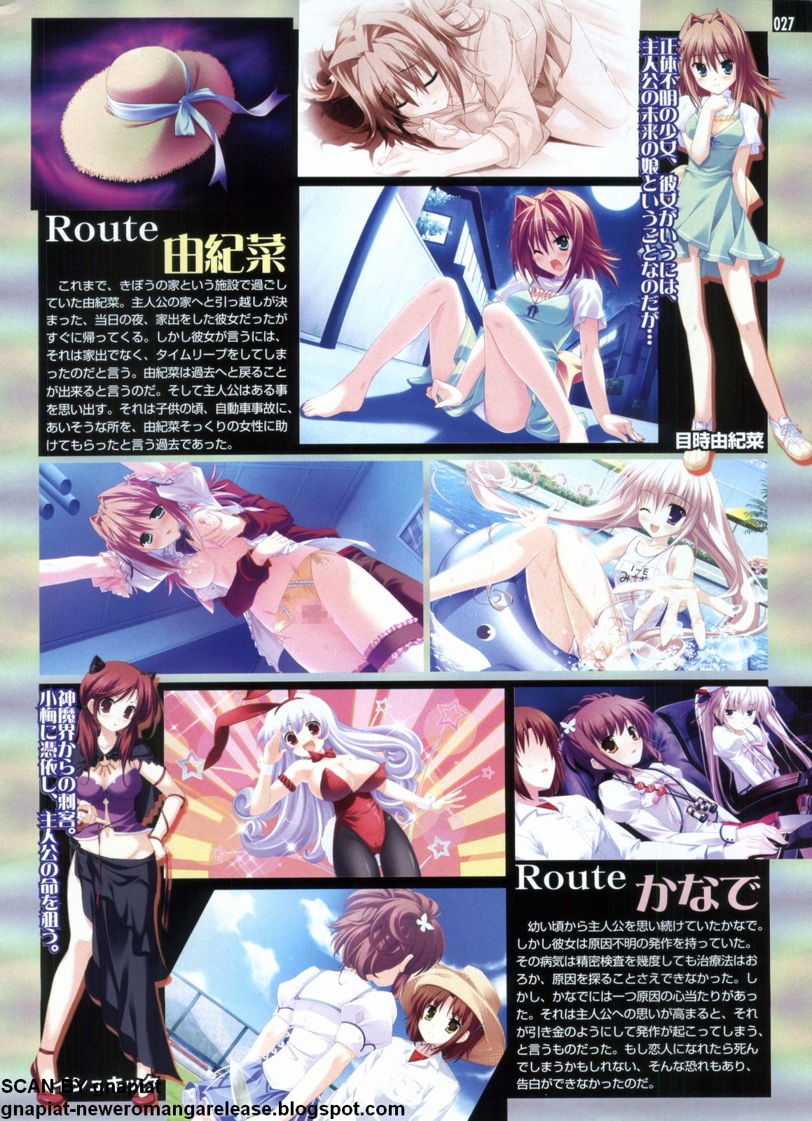 パソコンパラダイス 2009年5月号 Vol.204