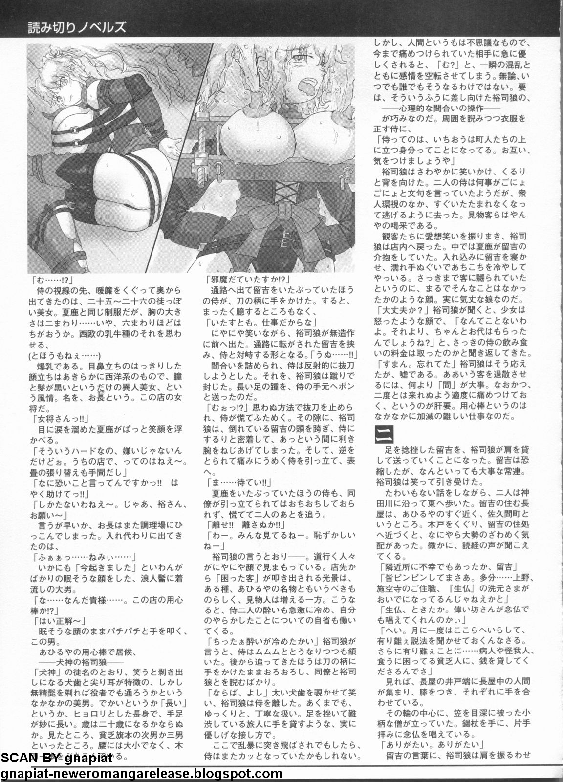 パソコンパラダイス 2009年5月号 Vol.204