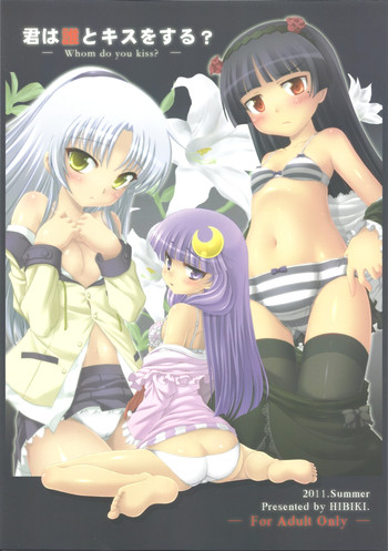 (C80) [響輝 (胃がん星人)] 君は誰とキスをする？ (よろず)