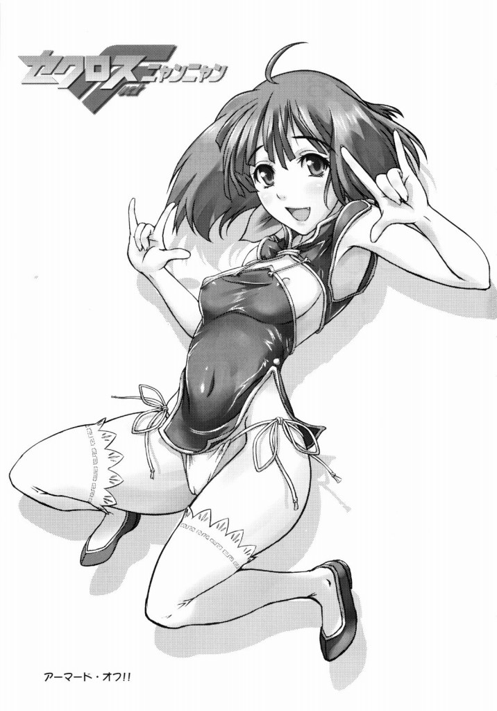 (C74) [D-heaven (あまのがみだい)] セクロスFニャンニャン (マクロスFRONTIER)