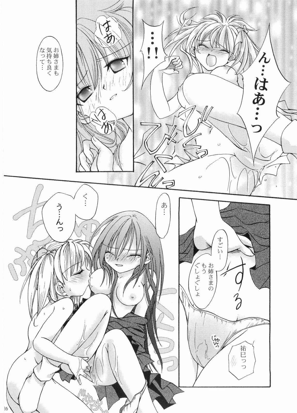 (C66) [ぎんぼう (銀青磁)] 荊の園 寝醒めの秘 (マリア様がみてる)