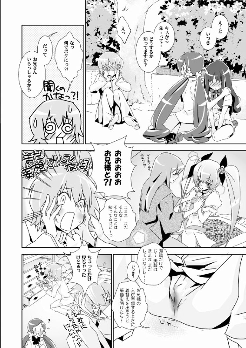 (サンクリ49) [バカトハサミ (塚井ヨウ)] ないしょのつぼえり ひみつのいつき (ハートキャッチプリキュア!)