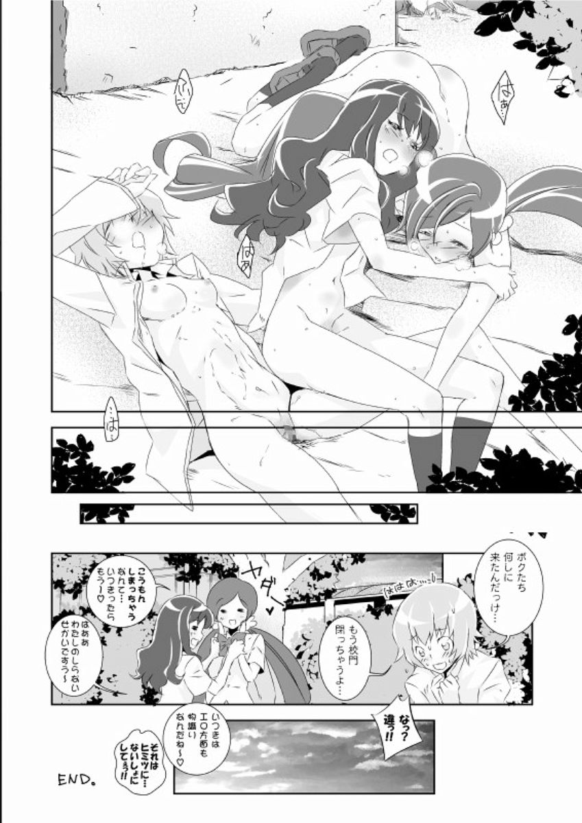 (サンクリ49) [バカトハサミ (塚井ヨウ)] ないしょのつぼえり ひみつのいつき (ハートキャッチプリキュア!)