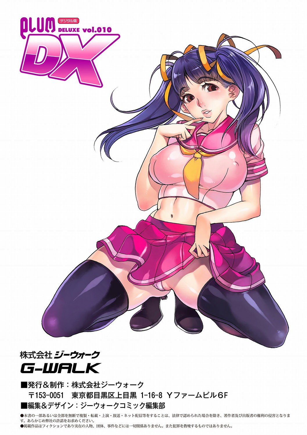 ＰＬＵＭ　DX 10 [DL版]