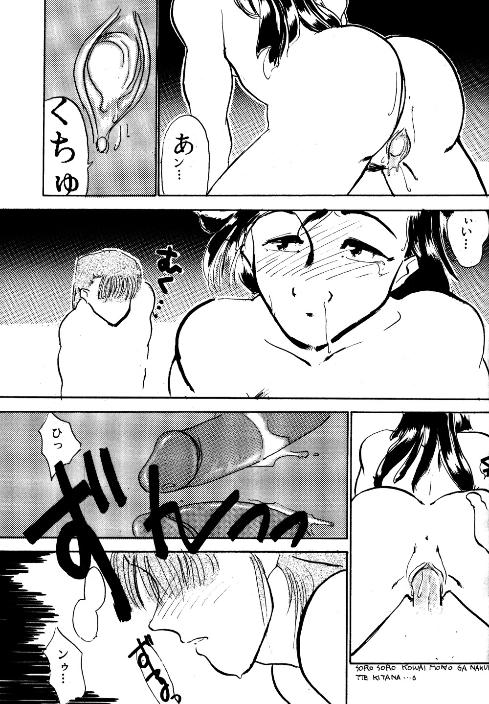 W-メロン(らんま1/2) W-メロン(らんま1/2)