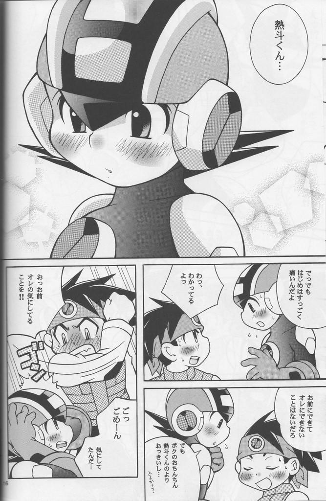 [腹黒天使（なるかみ）] Buon Compleanno! (ロックマンエグゼ)