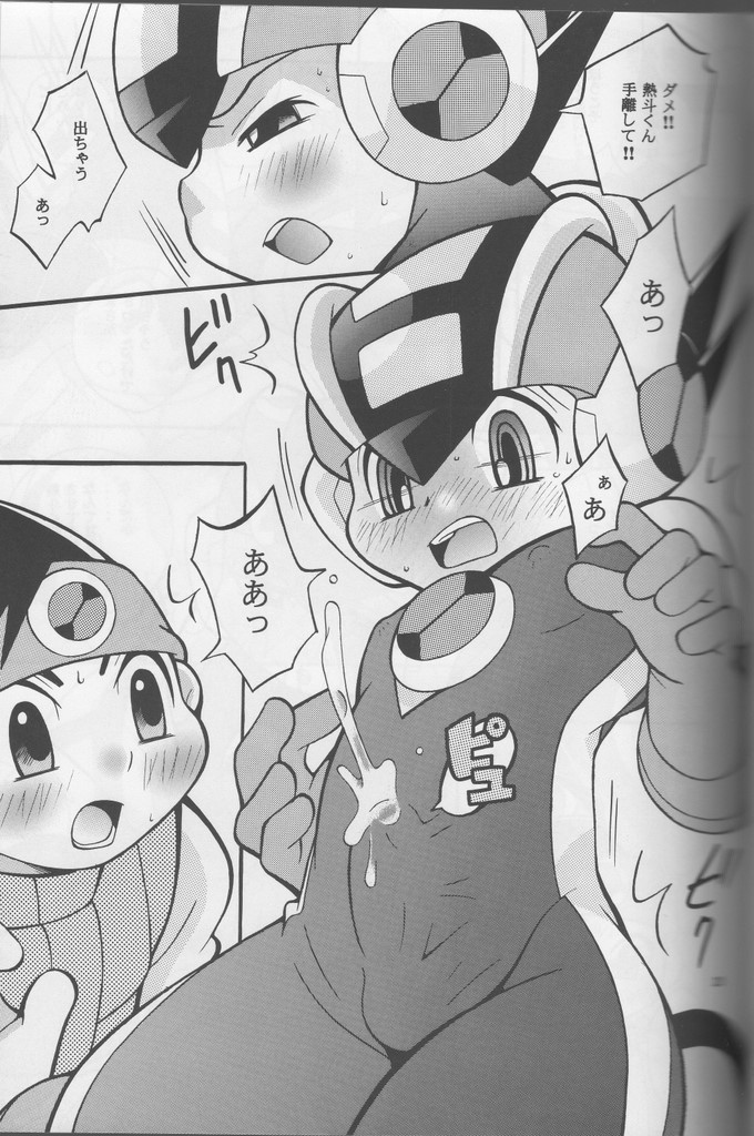 [腹黒天使（なるかみ）] Buon Compleanno! (ロックマンエグゼ)