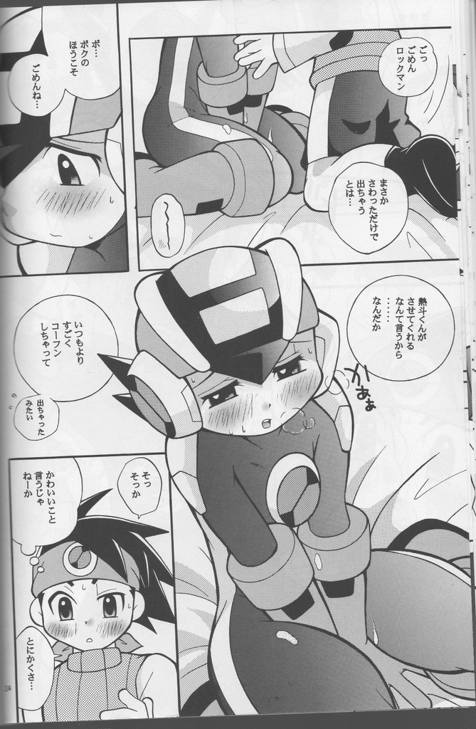 [腹黒天使（なるかみ）] Buon Compleanno! (ロックマンエグゼ)