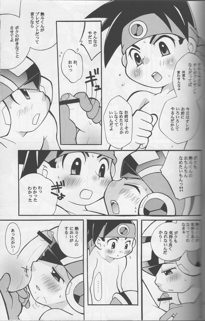 [腹黒天使（なるかみ）] Buon Compleanno! (ロックマンエグゼ)