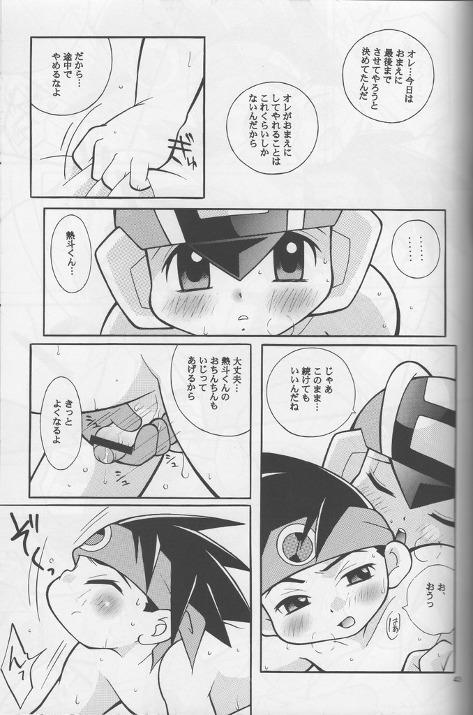 [腹黒天使（なるかみ）] Buon Compleanno! (ロックマンエグゼ)