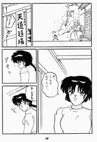 私の革命（らんま1/2）