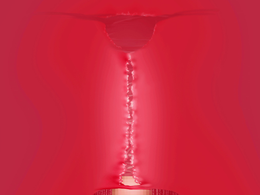 (同人誌)[サークルENZIN] 喜美嶋家での出来事4(完結)セックス結婚式編