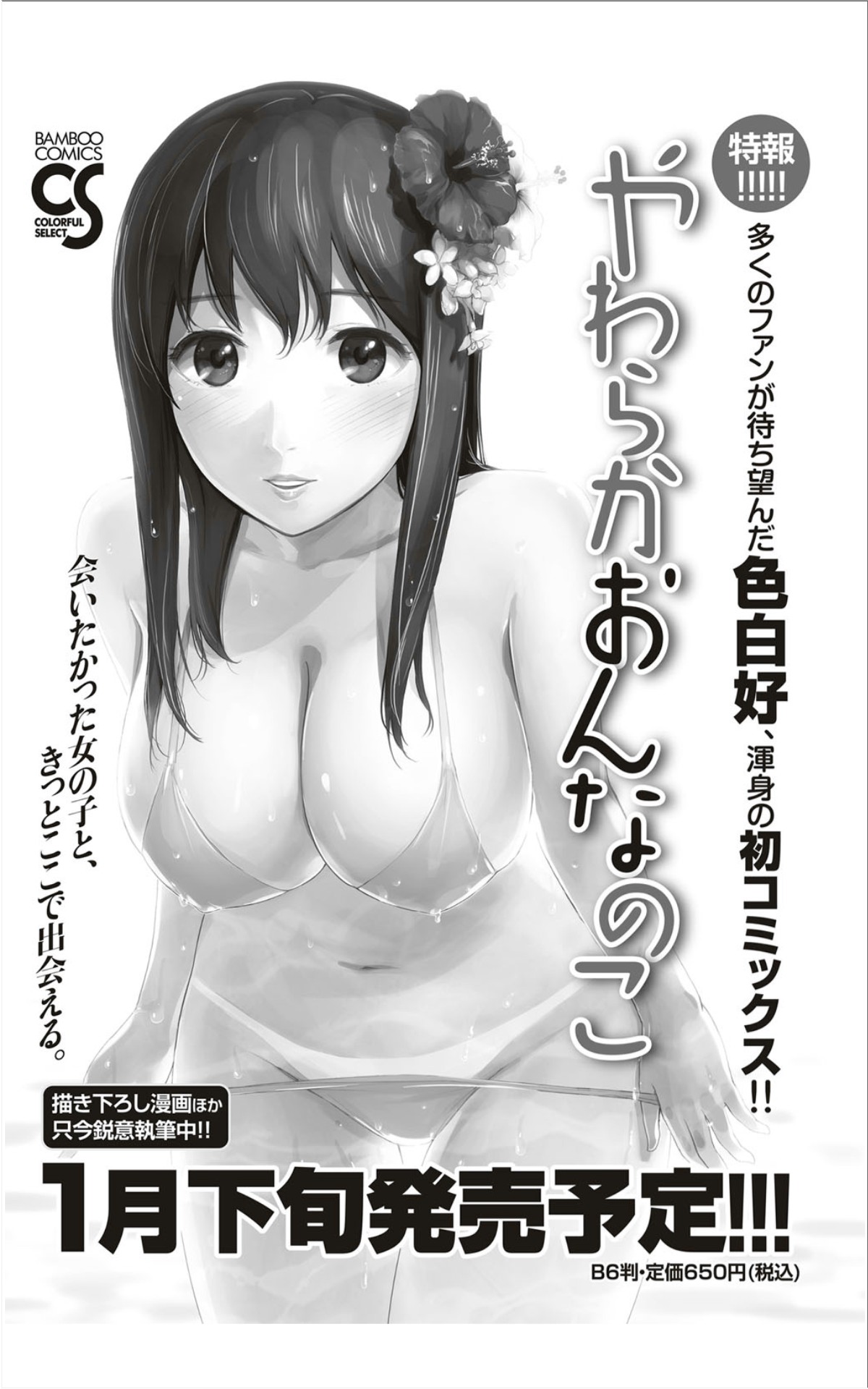 月刊 ビタマン 2012年1月号