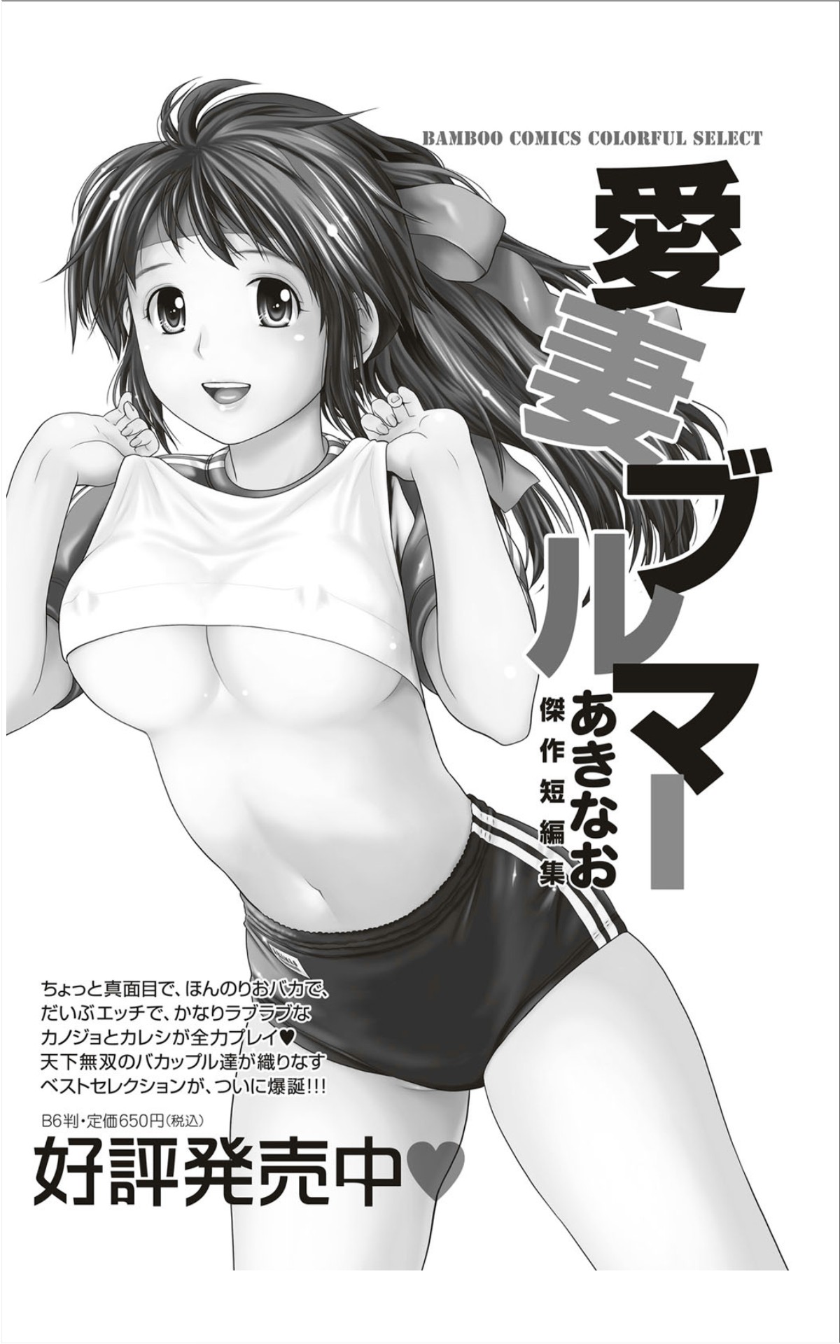 月刊 ビタマン 2012年1月号